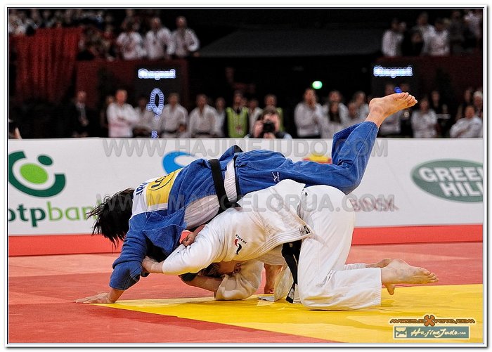 Grand Slam Paris 2013 Judo